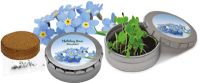 Vorschau: Pflanzdöschen Vergiss-mein-nicht, Vergissmeinnicht, 1-4 c Digitaldruck inklusive Vorschau: Pflanzdöschen Vergiss-mein-nicht, Vergissmeinnicht, 1-4 c Digitaldruck inklusive