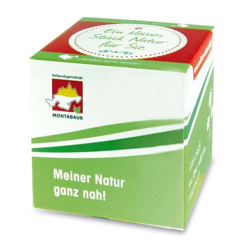 Pflanz-Würfel 2.0 mit Samen - Weihnachten