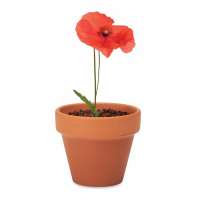 Vorschau: RED POPPY Terracotta-Topf Mohnblume Vorschau: RED POPPY Terracotta-Topf Mohnblume
