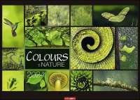 Wandkalender - Colours of Nature