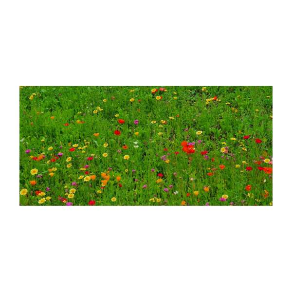 Bienenweide Auf eine blühende Zusammenarbeit