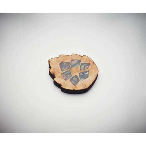 GROWTREE™ Kiefernsamen-Set