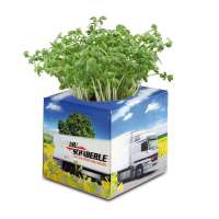 Vorschau: Pflanz-Würfel 2.0 mit Samen - Sonnenblume Vorschau: Pflanz-Würfel 2.0 mit Samen - Sonnenblume