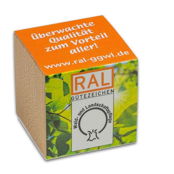 Pflanz-Holz mit Samen - Vergissmeinnicht, 2 Seiten gelasert