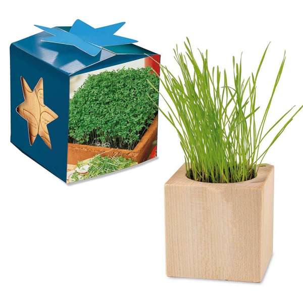 Pflanz-Holz Maxi Star-Box mit Samen - Gartenkresse