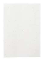 Vorschau: Semeno Stick Samenpapier/Notizbuch Vorschau: Semeno Stick Samenpapier/Notizbuch