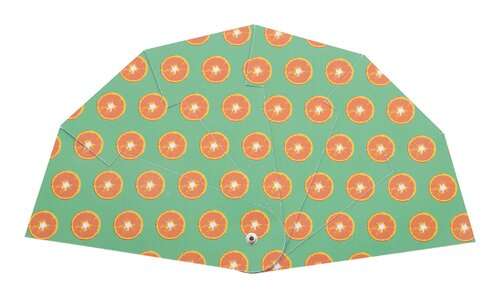 Folbreeze Indiviueller Handfächer