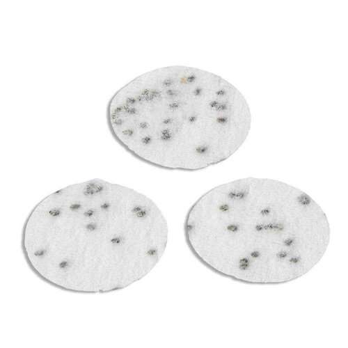 Samenpapier-Konfetti