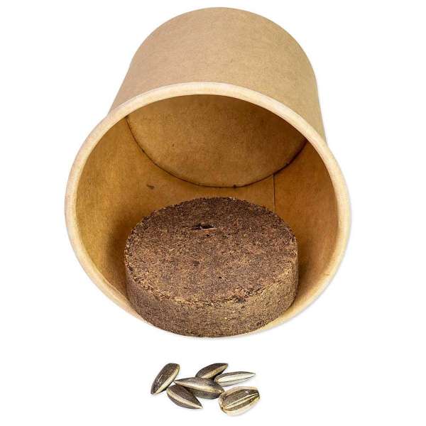 Pflanz-Würfel 2.0 mit Samen - Weihnachten - Glücksklee-Zwiebeln (* Je nach Verfügbarkeit der Glücksk