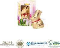 Lindt Werbekartonage Goldhase, 10 g individuell