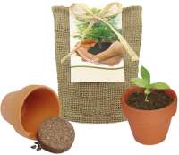 Pflanze Deinen Baum kleines Natur-Säckchen