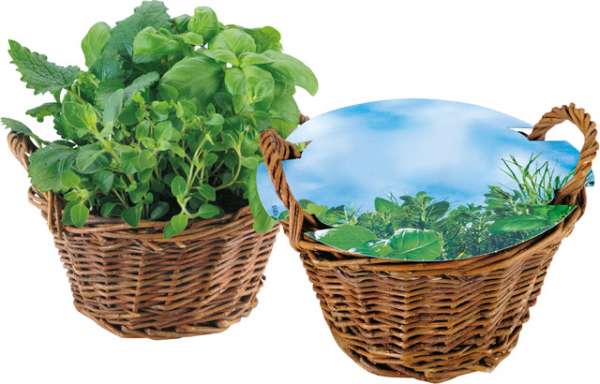 Weiden Körbchen Kräuter, Kräutermischung, 1-4 c Digitaldruck inklusive