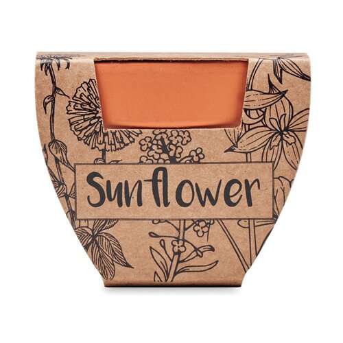 SUNFLOWER Terracotta-Topf Sonnenblume