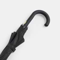 Vorschau: CANCAN - Automatik-Stockschirm Vorschau: CANCAN - Automatik-Stockschirm