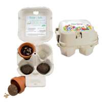 Das Grüne vom Ei - Green-Mix Box Das Grüne vom Ei - Green-Mix Box