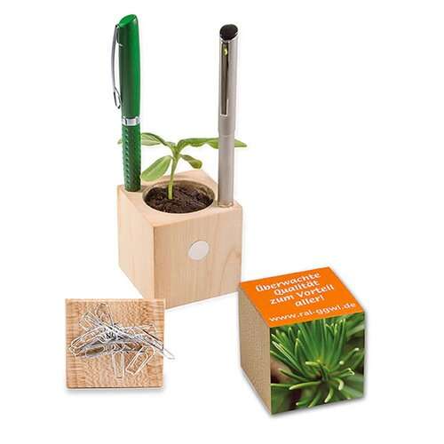 Pflanz-Holz Büro Xmas mit Fichtensamen