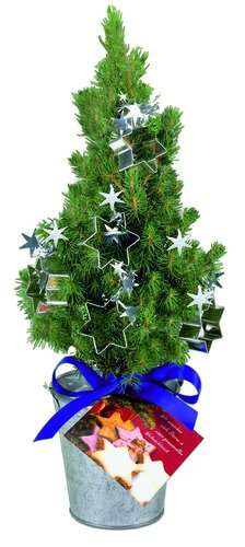 Backförmchen-Bäumchen 20-30 cm