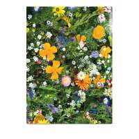 Vorschau: Samentütchen Klein - Standardmotiv - Sommerblumenmischung Vorschau: Samentütchen Klein - Standardmotiv - Sommerblumenmischung