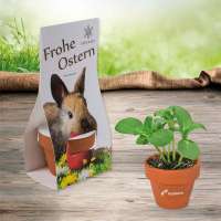 Vorschau: Logo-Töpfchen Überreichverpackung mit Samen - Ostern - Eierbaumsamen Vorschau: Logo-Töpfchen Überreichverpackung mit Samen - Ostern - Eierbaumsamen