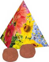 Pyramide Spitzenwachstum, bunte Blumenmischung, 1-4 c Digitaldruck inklusive