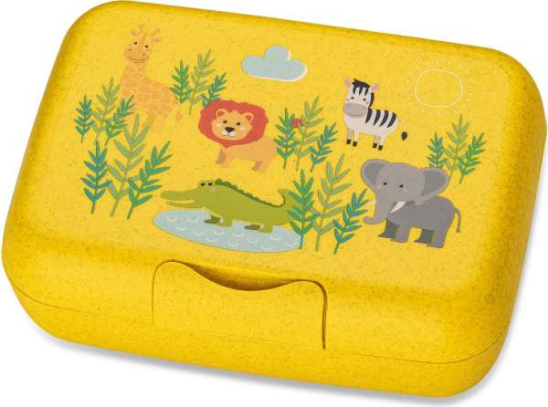 Lunchbox mit Trennschale für Kinder
