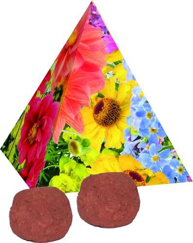 Pyramide Spitzenwachstum