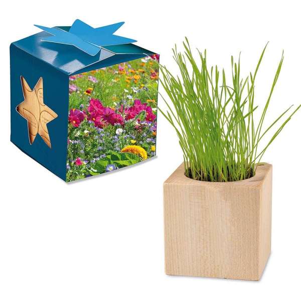 Pflanz-Holz Maxi Star-Box mit Samen - Sommerblumenmischung, 2 Seiten gelasert