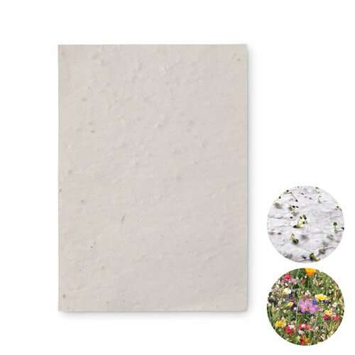 ASIDO DIN A6 Wildblumen-Samenpapier