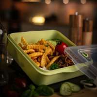 Vorschau: Universalbox „ToGo“ Vorschau: Universalbox „ToGo“