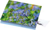 Vorschau: Klappkärtchen Vergissmeinnicht, 90 x 60 mm, Vergissmeinnicht, 1-4 c Digitaldruck inkl. Vorschau: Klappkärtchen Vergissmeinnicht, 90 x 60 mm, Vergissmeinnicht, 1-4 c Digitaldruck inkl.