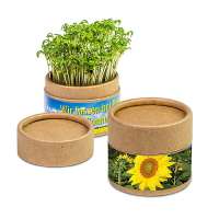 Pflanz-Cup mit Samen - Sonnenblume