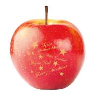 LogoFrucht Apfel Happy Christmas