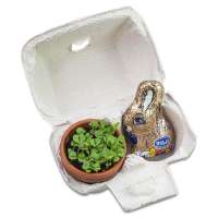 Vorschau: Das Gelbe vom Ei - Duo Vorschau: Das Gelbe vom Ei - Duo